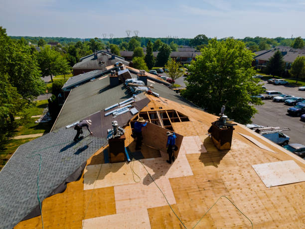 Best Flat Roof Repair Services  in Oak Grove, LA